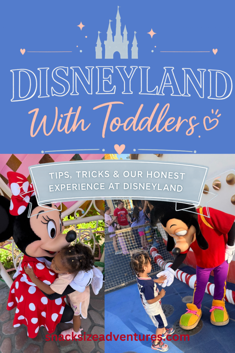 disneyland with toddlers