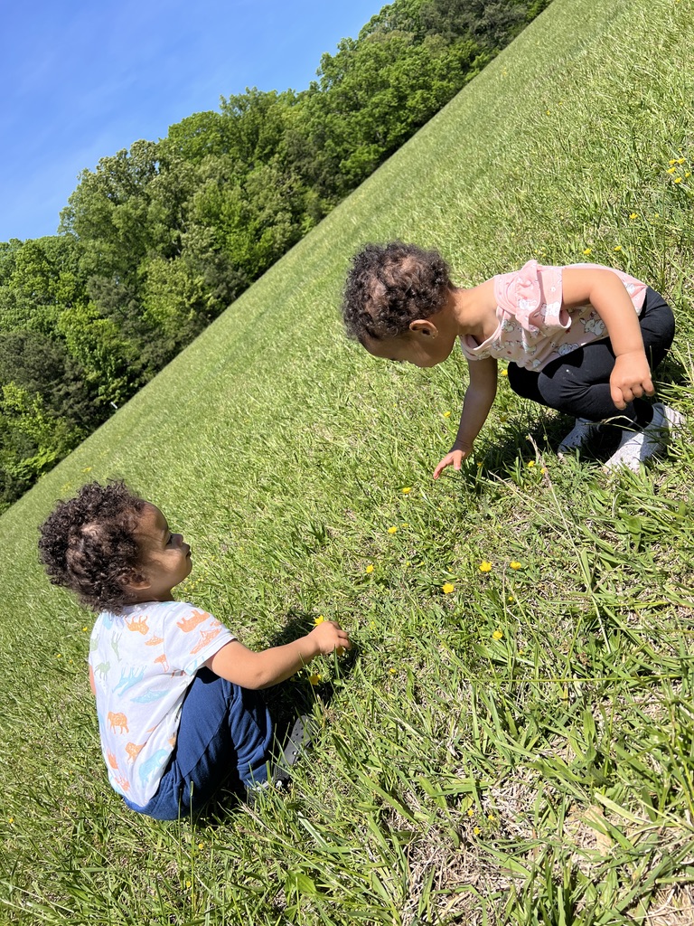 10 Fun Family Activities to Do with Toddlers and Young Kids