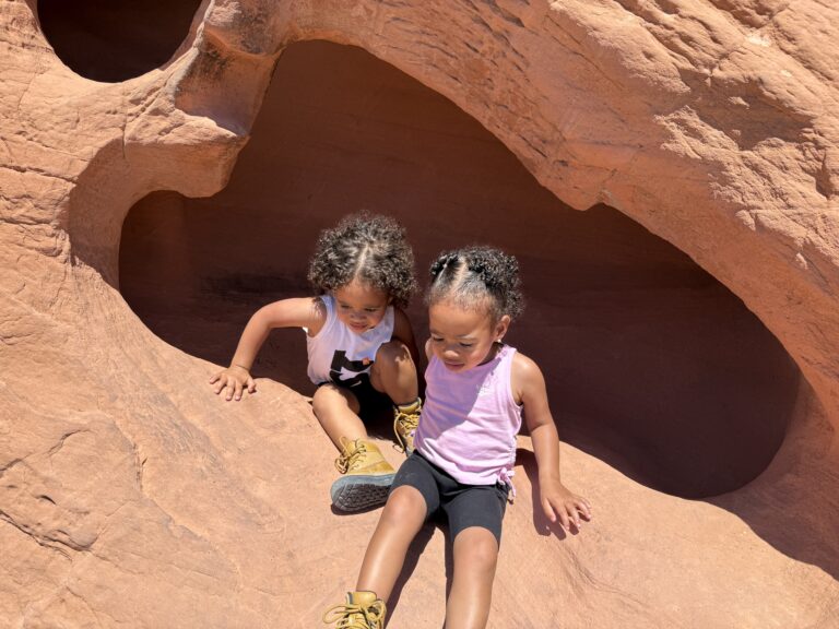Double the Challenge- How I’m Potty Training My Twins