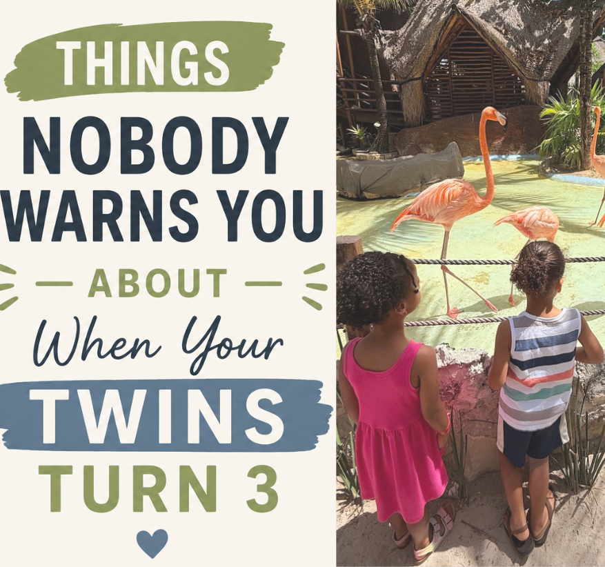 What Nobody Tells You About 3-Year-Old Twins (Brace Yourself)